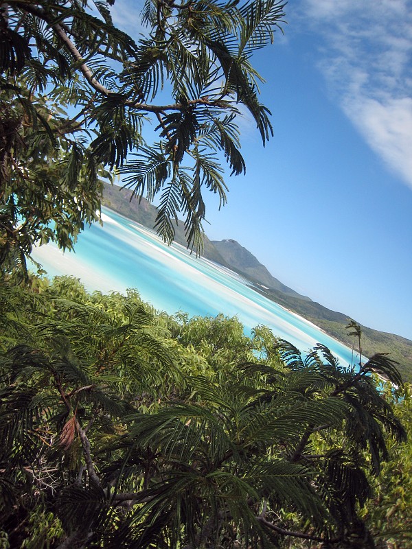 2009-11-06 22-03-43_1.jpg - schwankend vor Glück...